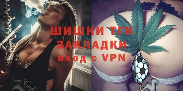 МДПВ Каменногорск