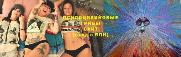 дурь Каменск-Шахтинский