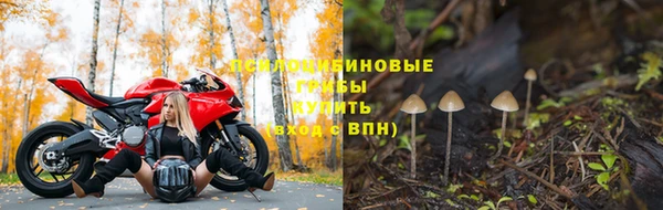 трава Каменка